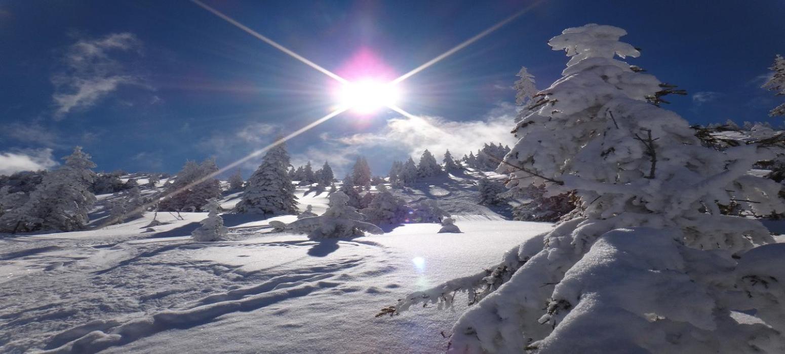 Ski-In, Ski-Out By Apartment Managers Κίρχμπεργκ ιν Τιρόλ Εξωτερικό φωτογραφία